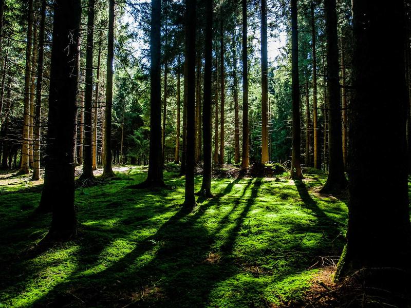 我与我周旋久<br>lyv4augd.cn 宁作我